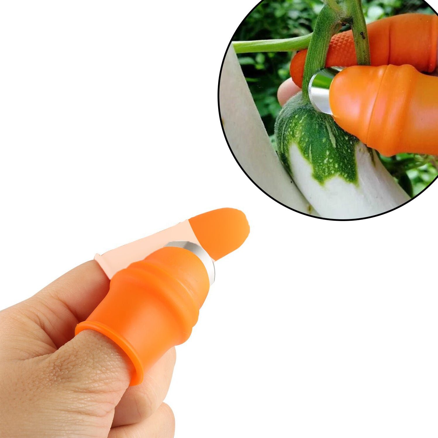 1 Pair V Thumb Cutter with Box for peeling and cutting of various types of vegetables and fruits etc - Image 4
