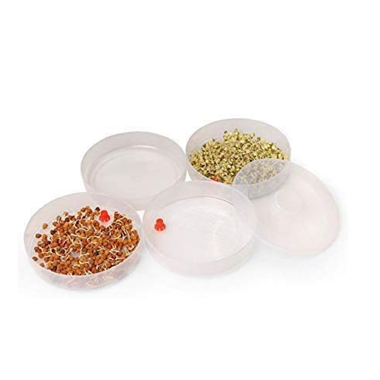 Sprout Maker Tray White Plastic 4 Compartment - Image 5