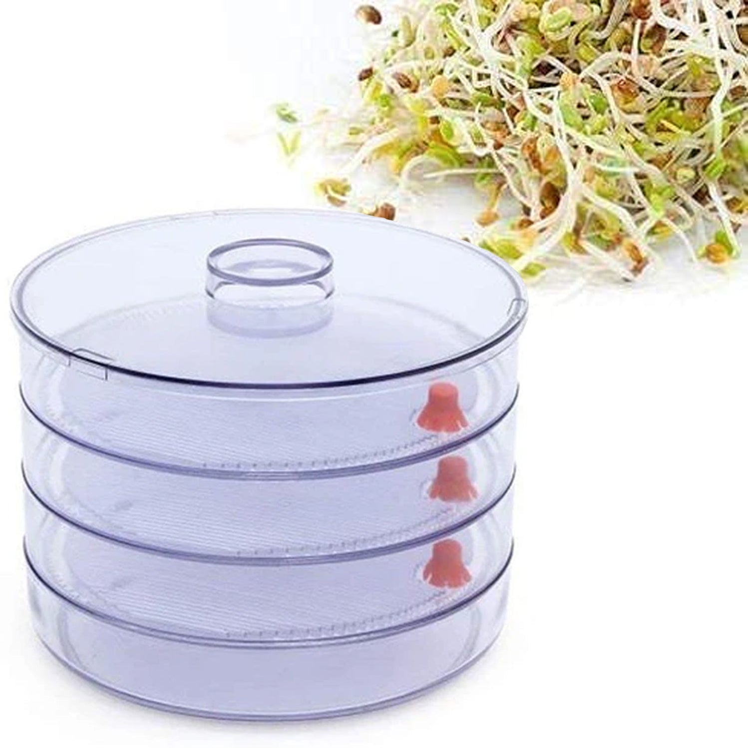 Sprout Maker Tray White Plastic 4 Compartment - Image 6